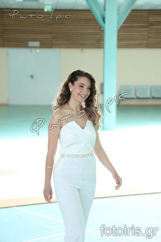 IMG 0029
