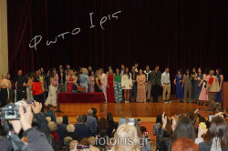DSC00799 DSC00799