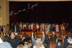 DSC00800 DSC00800