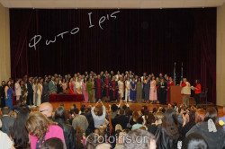 DSC00824 DSC00824