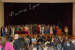 DSC00826 DSC00826