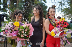 DSC01585