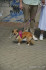 DSC01772