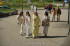 DSC03085