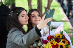 IMG 2933