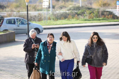 D03A7569