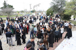IMG 1235