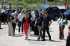 D03A7768