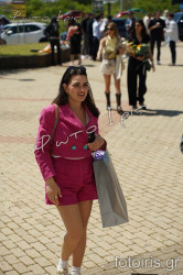 DSC02653 DSC02653