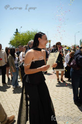 DSC03005