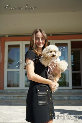 DSC03538