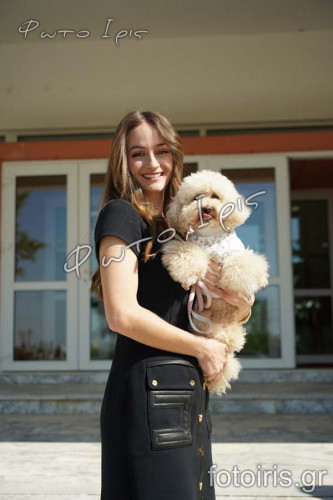 DSC03543