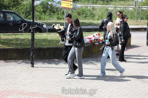D03A4519