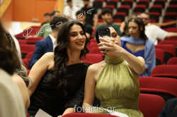 2E6A3384